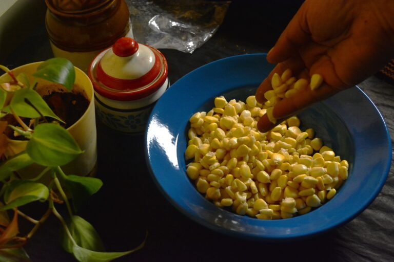 Sweet corn Fritters