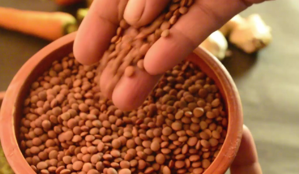 high protein dal recipe 1 1