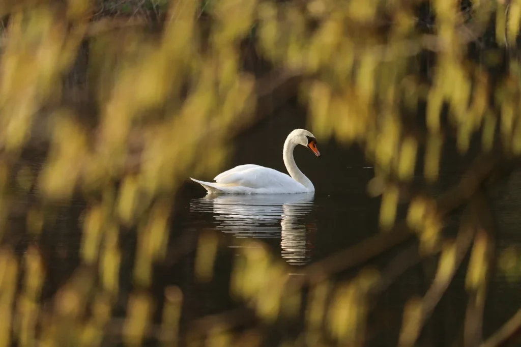 how to respond to gaslighting