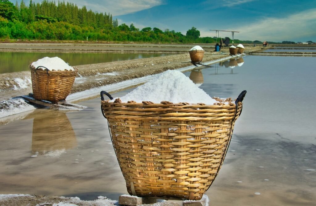 salt for gut healing