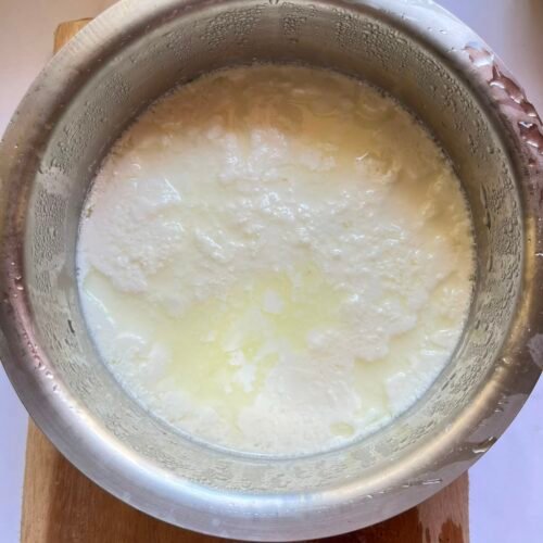 Probiotic coconut curd