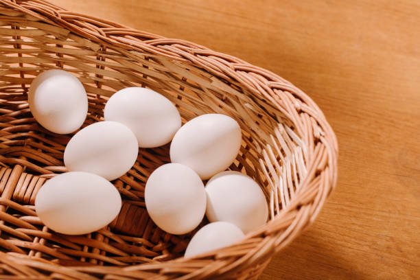 High Protein Food Easy to Digest