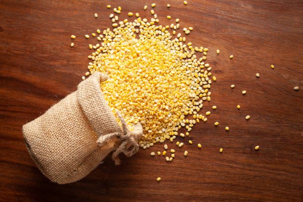 high protein foods easy to digest