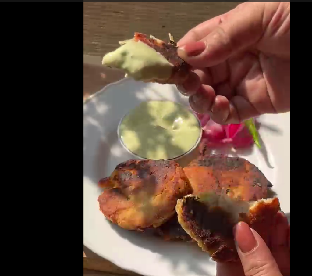 high protein shami kabab